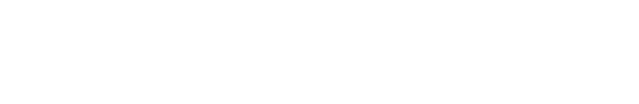 PITSA
